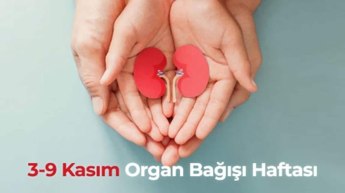 3 - 9 Kasım Organ Bağışı Haftası Etkinliği